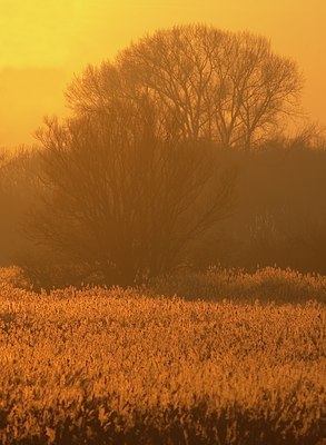 BUITEN BEELD Foto: 34432