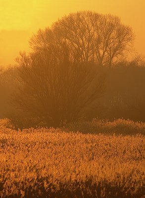 BUITEN BEELD Foto: 34432