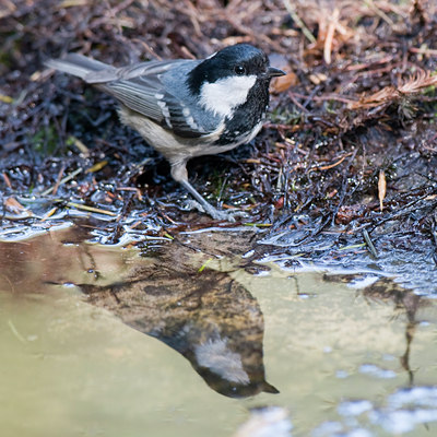 BUITEN BEELD Foto: 34446