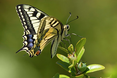 BUITEN BEELD Foto: 34460