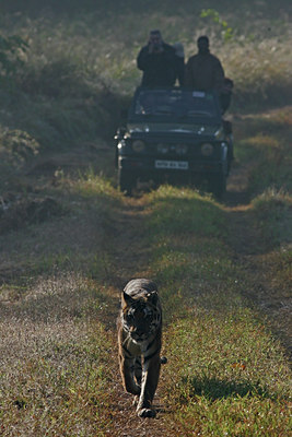 BUITEN BEELD Foto: 34465