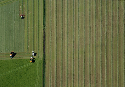 BUITEN BEELD Foto: 34493