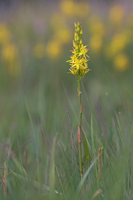 BUITEN BEELD Foto: 34501