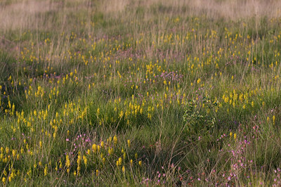 BUITEN BEELD Foto: 34505
