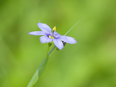 BUITEN BEELD Foto: 34550