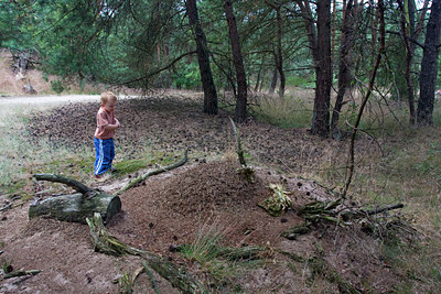 BUITEN BEELD Foto: 34556