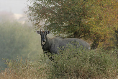 BUITEN BEELD Foto: 34580
