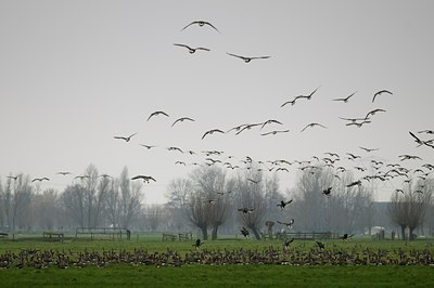 BUITEN BEELD Foto: 34652