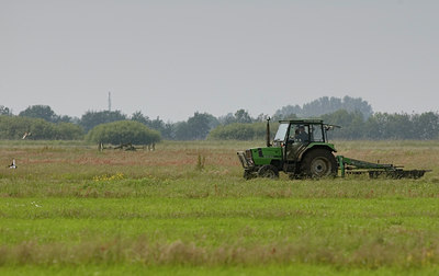 BUITEN BEELD Foto: 34666