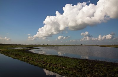 BUITEN BEELD Foto: 34698