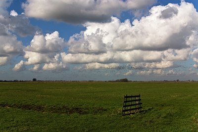 BUITEN BEELD Foto: 34700