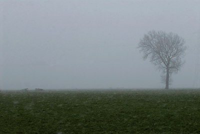 BUITEN BEELD Foto: 34714