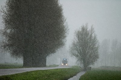 BUITEN BEELD Foto: 34716