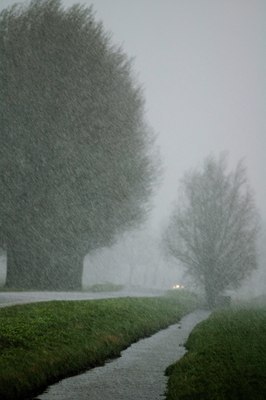 BUITEN BEELD Foto: 34718