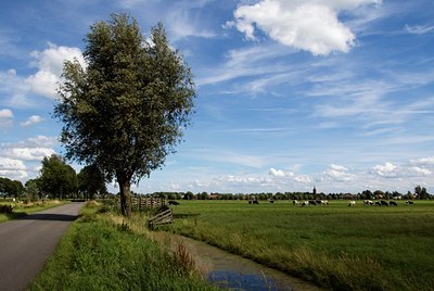 BUITEN BEELD Foto: 34720