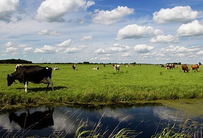 BUITEN BEELD Foto: 34725