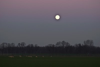 BUITEN BEELD Foto: 34743