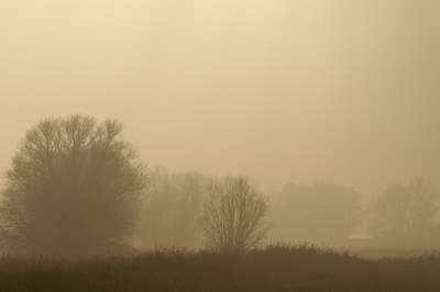 BUITEN BEELD Foto: 34748