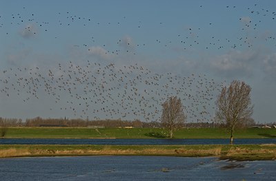 BUITEN BEELD Foto: 34779