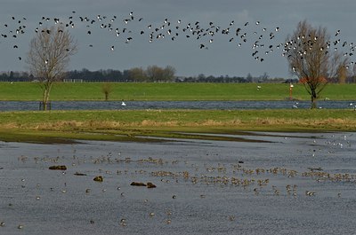 BUITEN BEELD Foto: 34782