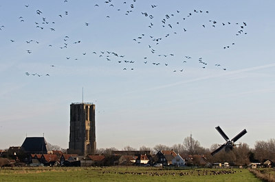 BUITEN BEELD Foto: 34784