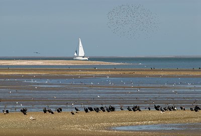 BUITEN BEELD Foto: 34787