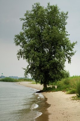 BUITEN BEELD Foto: 34812