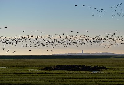 BUITEN BEELD Foto: 34818