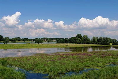 BUITEN BEELD Foto: 34835