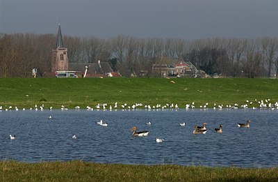 BUITEN BEELD Foto: 34838