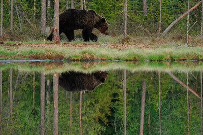 BUITEN BEELD Foto: 34862