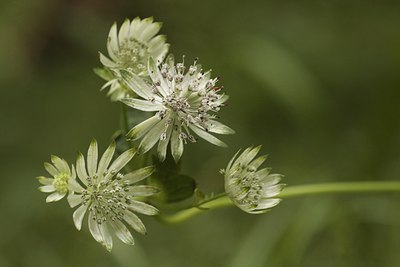 BUITEN BEELD Foto: 34878