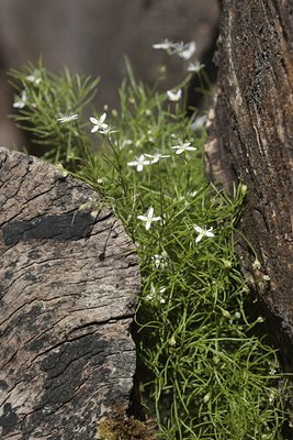 BUITEN BEELD Foto: 34884