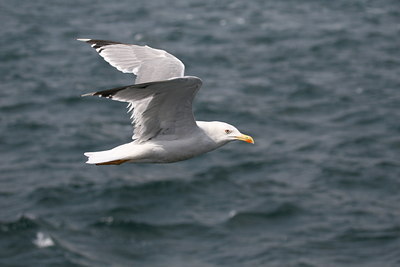 BUITEN BEELD Foto: 34903