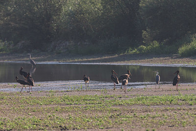 BUITEN BEELD Foto: 349007