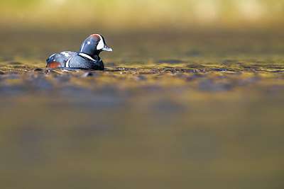 BUITEN BEELD Foto: 349102