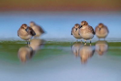 BUITEN BEELD Foto: 349245