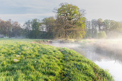 BUITEN BEELD Foto: 349440
