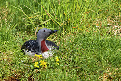 BUITEN BEELD Foto: 349550