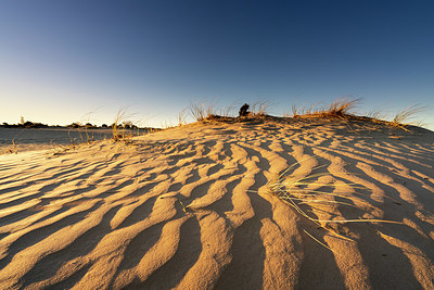 BUITEN BEELD Foto: 349860