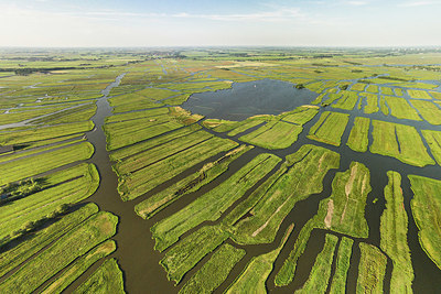 BUITEN BEELD Foto: 349909