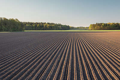 BUITEN BEELD Foto: 349968