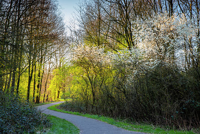 BUITEN BEELD Foto: 350022