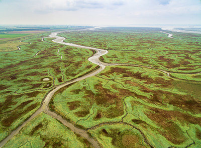 BUITEN BEELD Foto: 350059