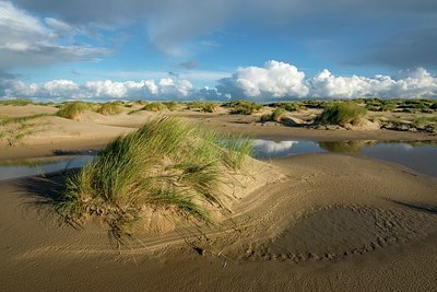 BUITEN BEELD Foto: 350085