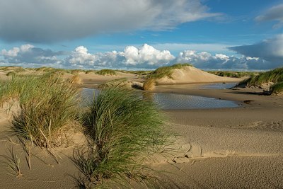 BUITEN BEELD Foto: 350087