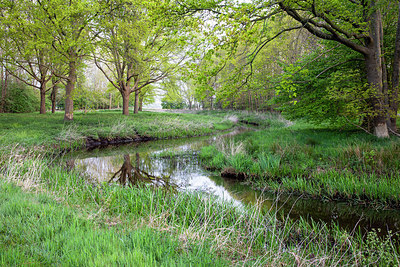 BUITEN BEELD Foto: 350278