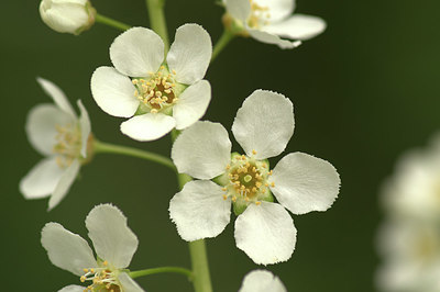 BUITEN BEELD Foto: 350358