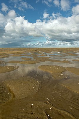 BUITEN BEELD Foto: 350361