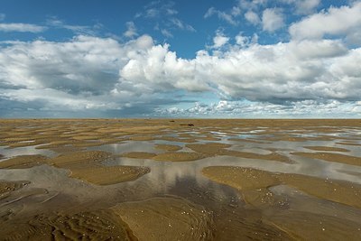 BUITEN BEELD Foto: 350363